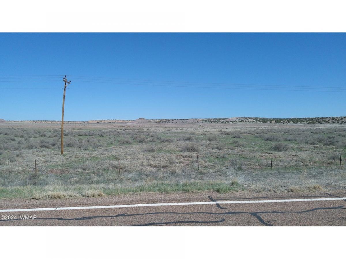 Picture of Residential Land For Sale in Sanders, Arizona, United States