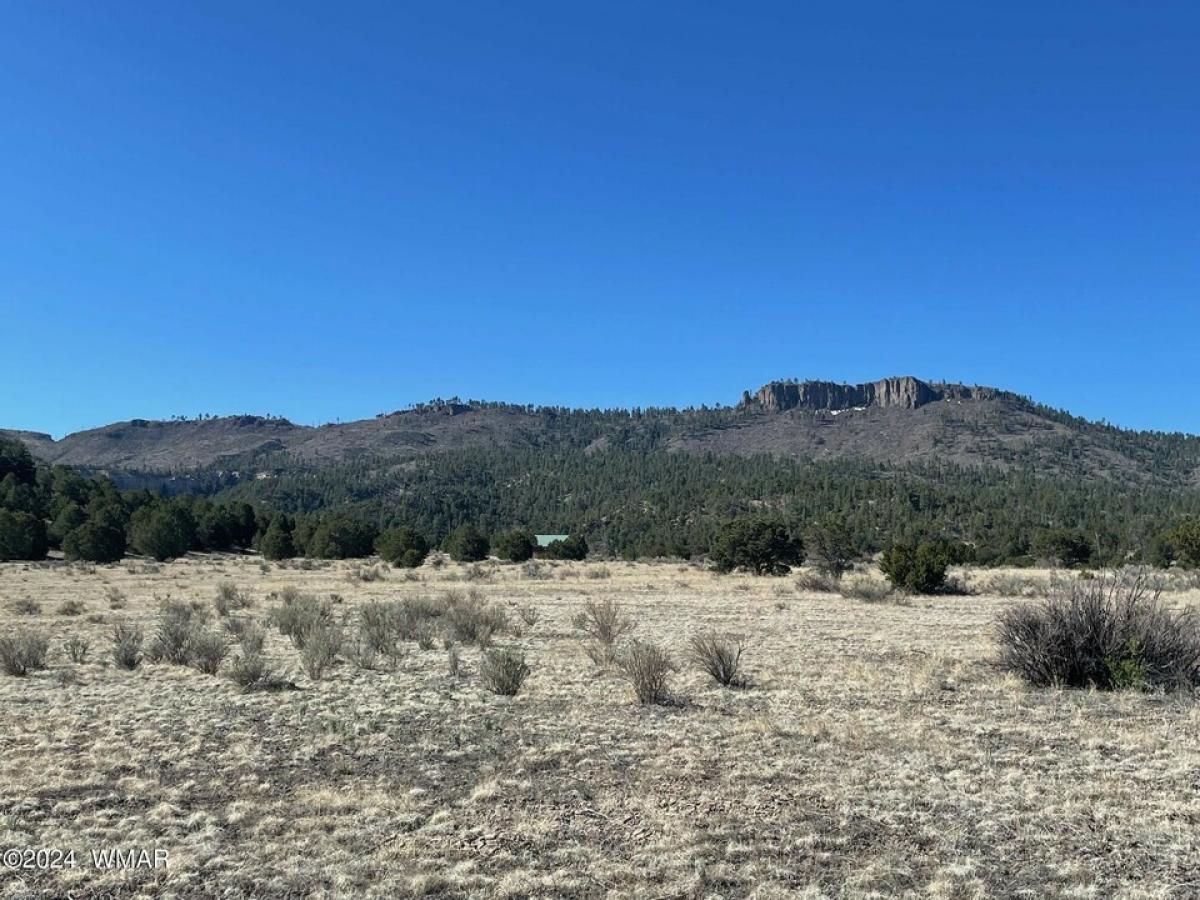 Picture of Residential Land For Sale in Nutrioso, Arizona, United States