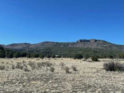 Residential Land For Sale in Nutrioso, Arizona