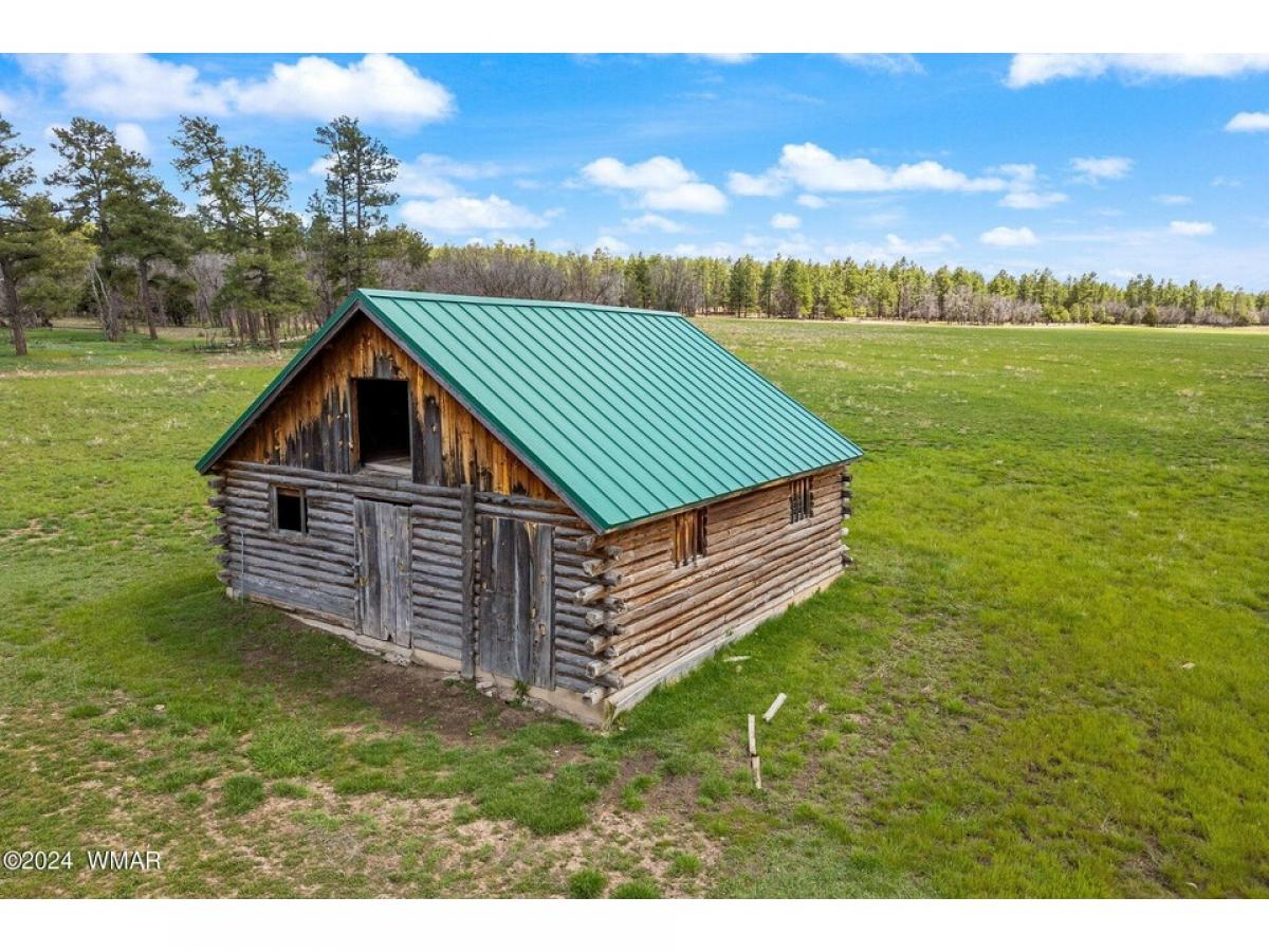 Picture of Residential Land For Sale in Lakeside, Arizona, United States