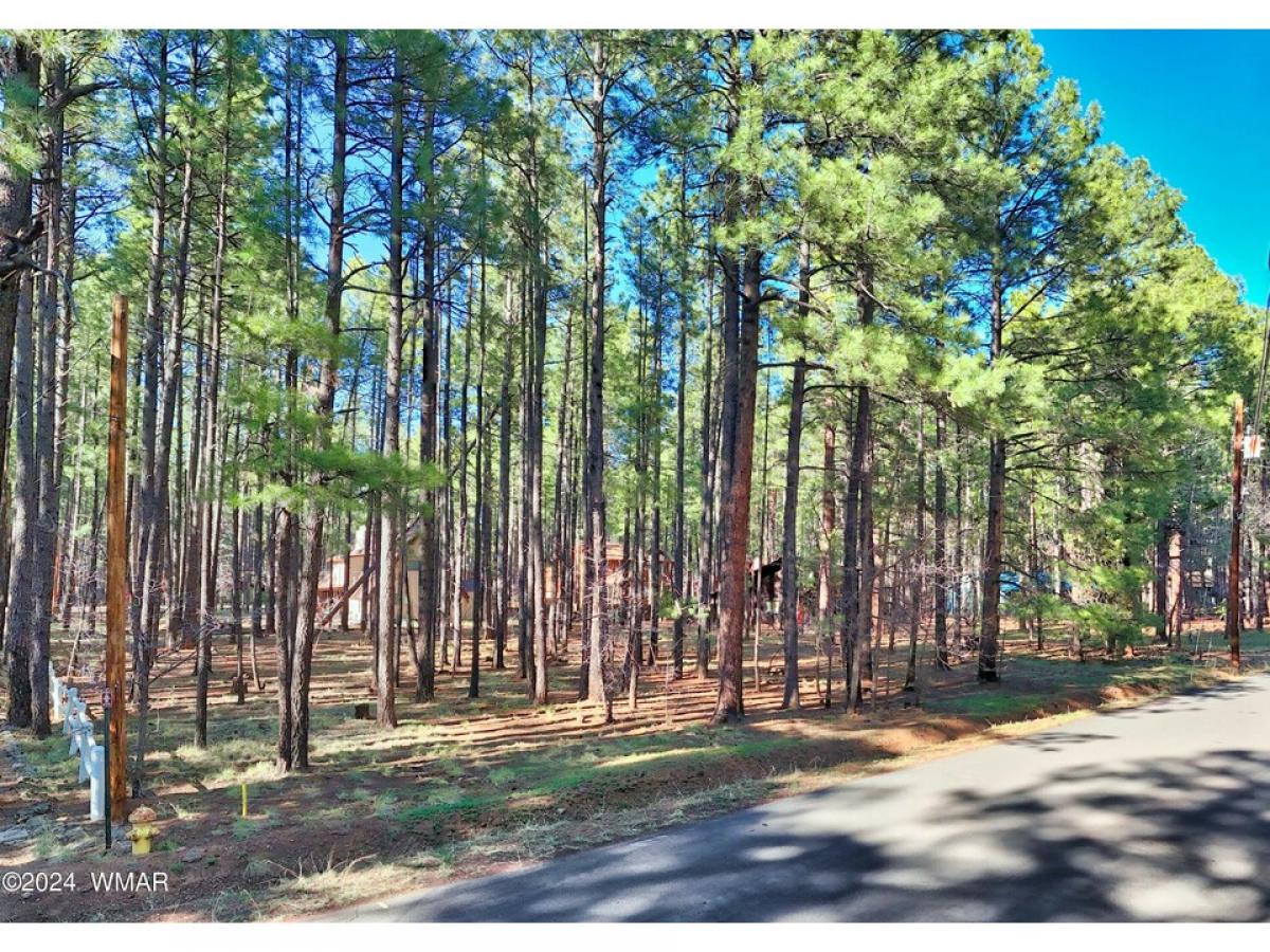 Picture of Residential Land For Sale in Pinetop, Arizona, United States