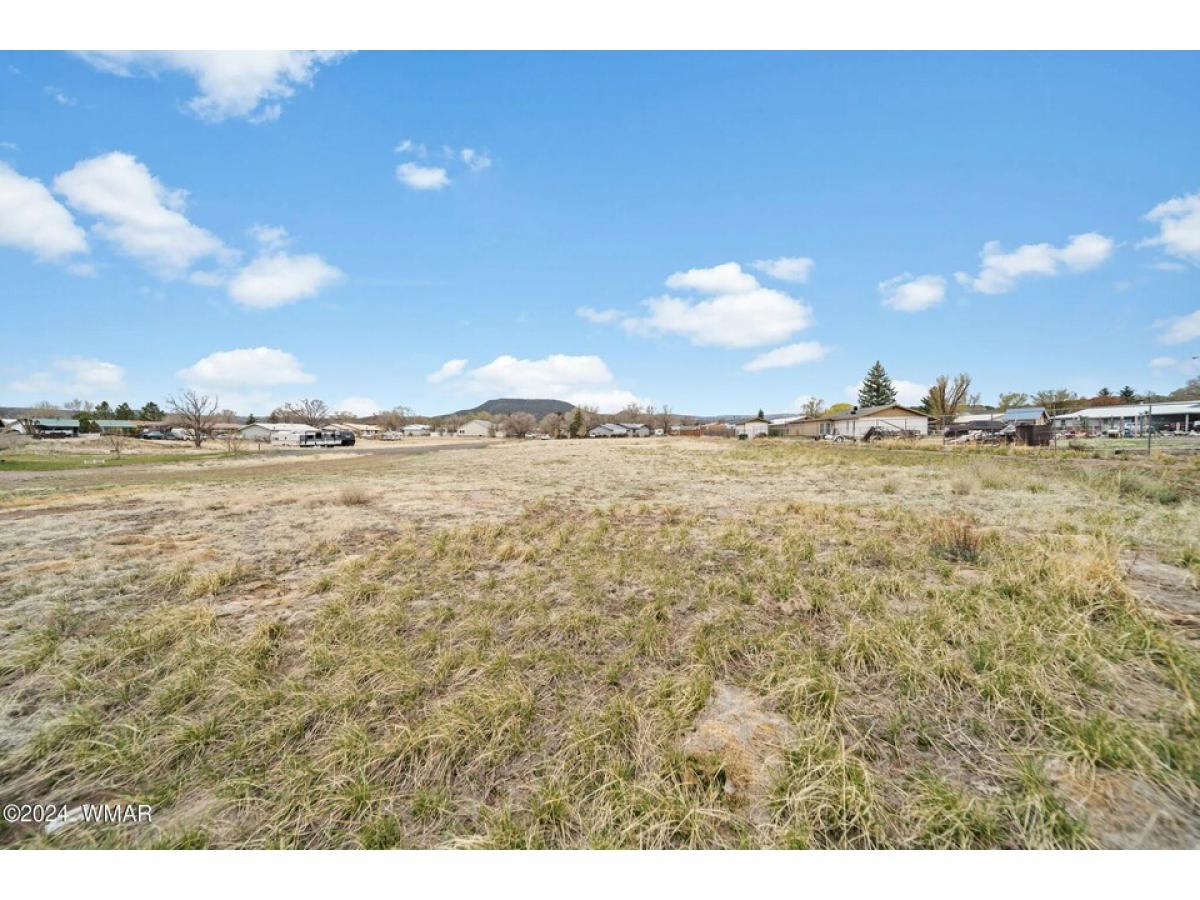 Picture of Residential Land For Sale in Springerville, Arizona, United States