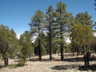 Residential Land For Sale in Overgaard, Arizona