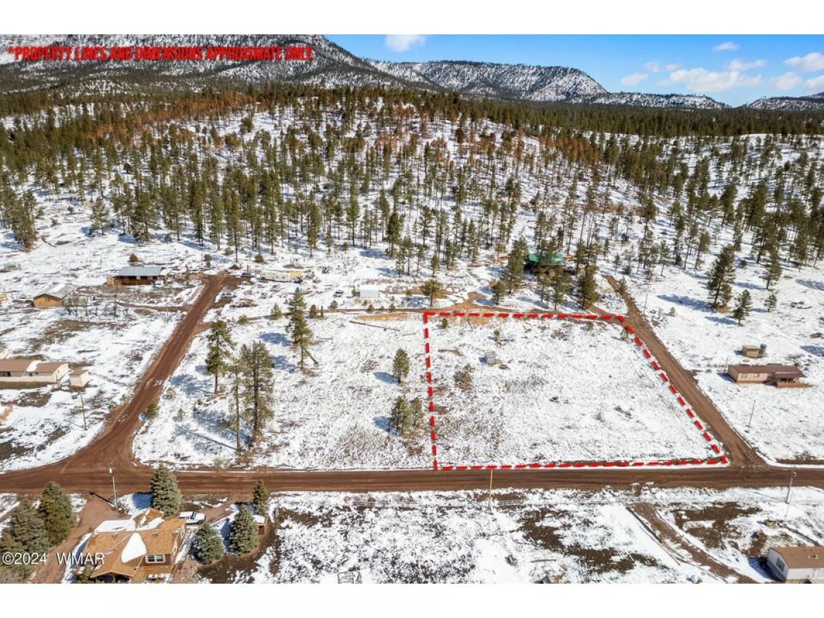 Picture of Residential Land For Sale in Alpine, Arizona, United States