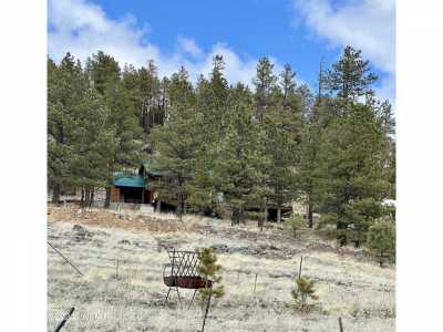 Residential Land For Sale in Alpine, Arizona