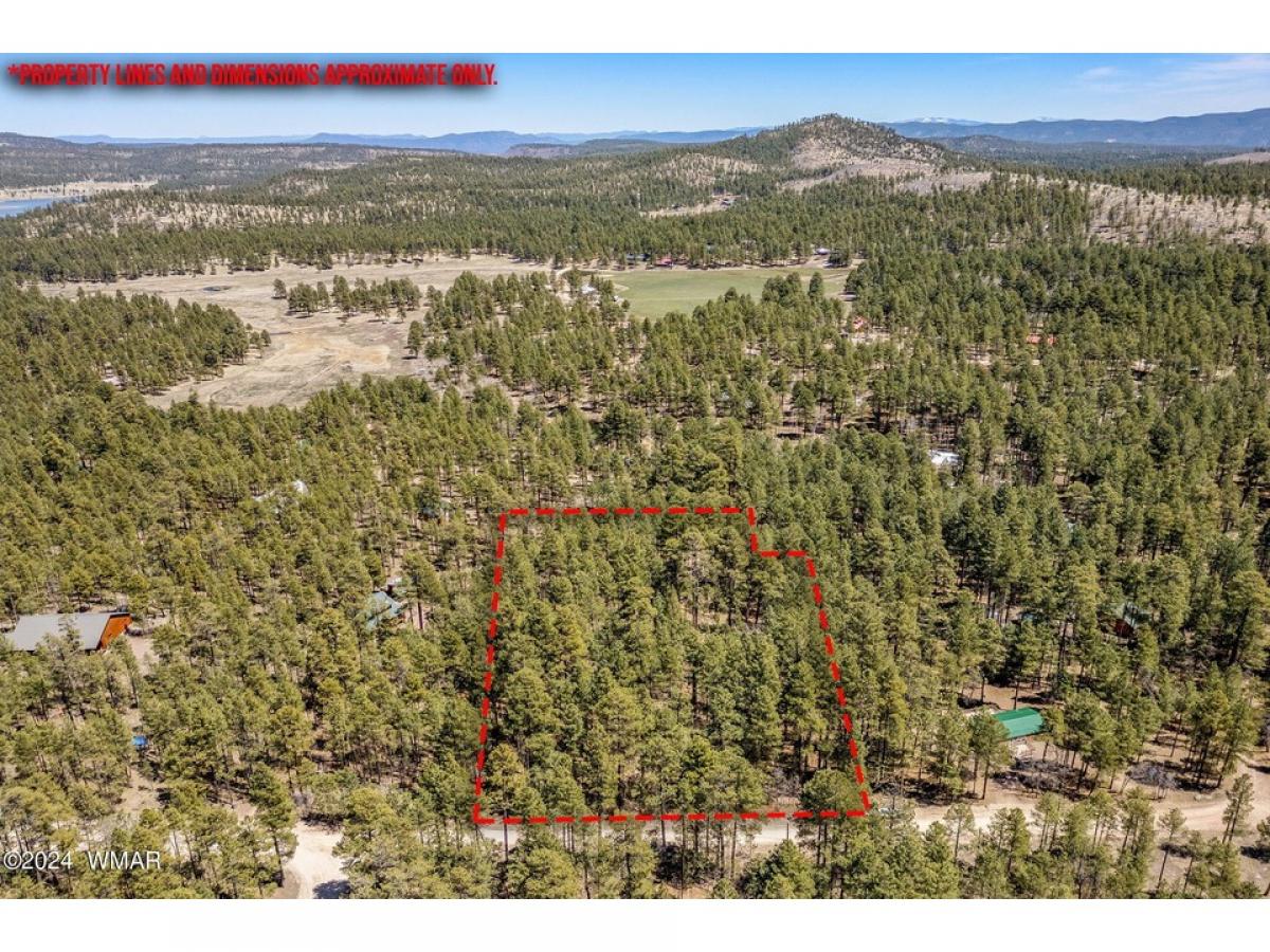 Picture of Residential Land For Sale in Alpine, Arizona, United States