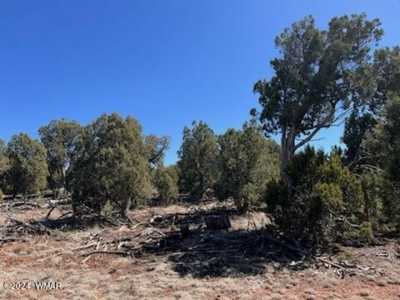 Residential Land For Sale in Clay Springs, Arizona