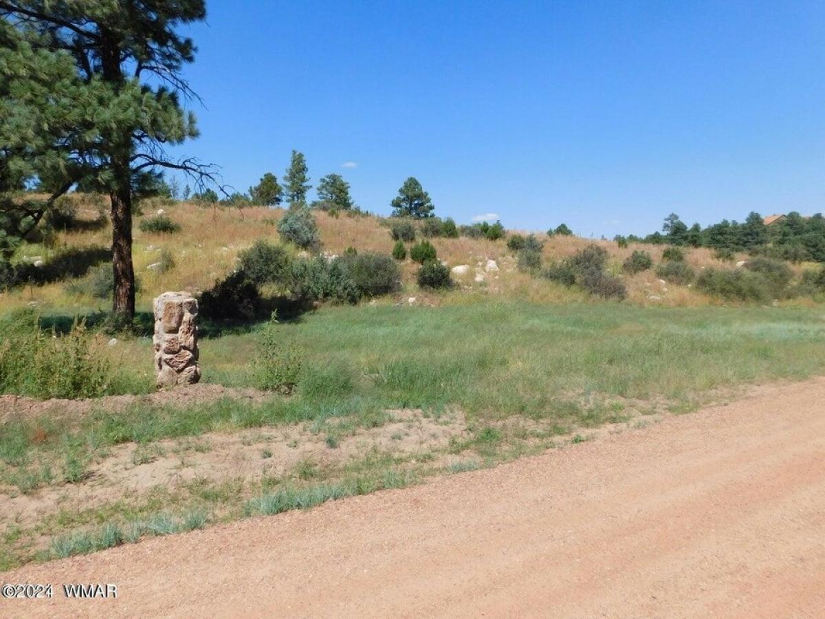 Picture of Residential Land For Sale in Overgaard, Arizona, United States