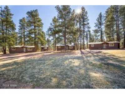 Home For Sale in Alpine, Arizona