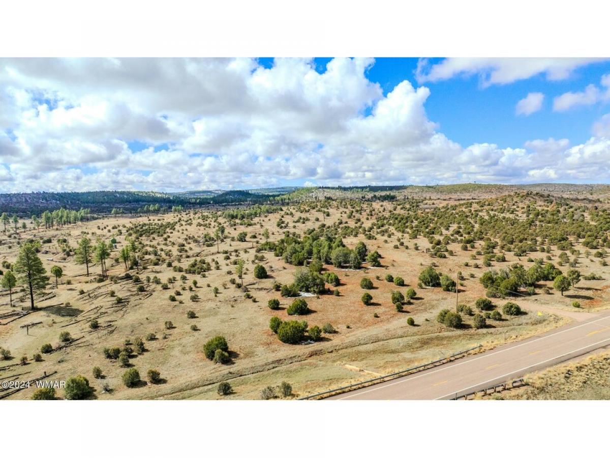 Picture of Residential Land For Sale in Clay Springs, Arizona, United States