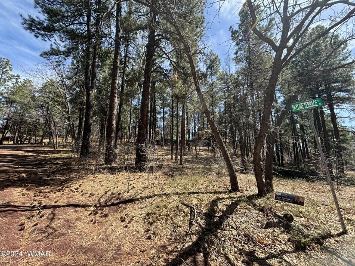 Picture of Residential Land For Sale in Pinetop, Arizona, United States