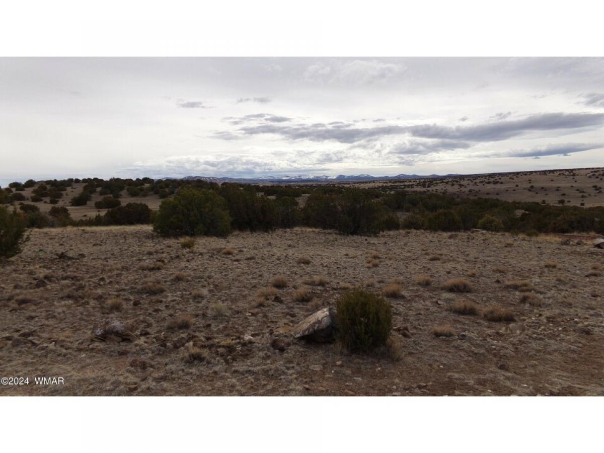 Picture of Residential Land For Sale in Concho Valley, Arizona, United States