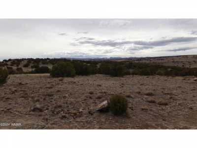 Residential Land For Sale in Concho Valley, Arizona