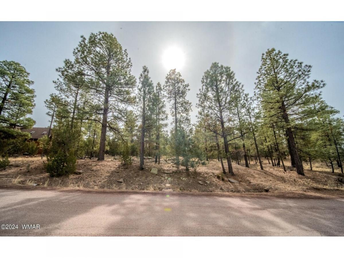 Picture of Residential Land For Sale in Overgaard, Arizona, United States