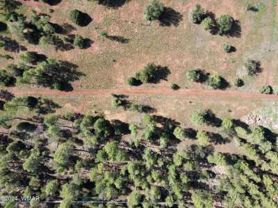 Residential Land For Sale in Lakeside, Arizona