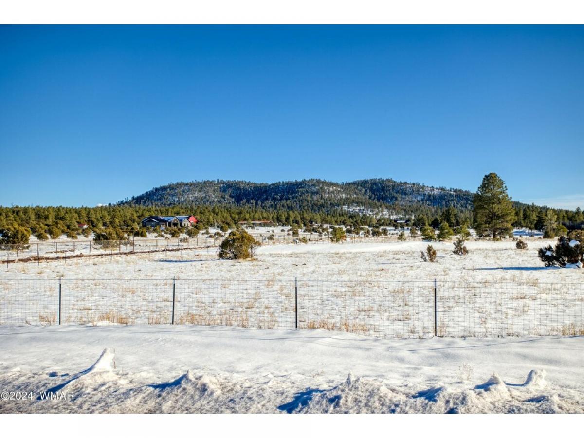 Picture of Residential Land For Sale in Lakeside, Arizona, United States