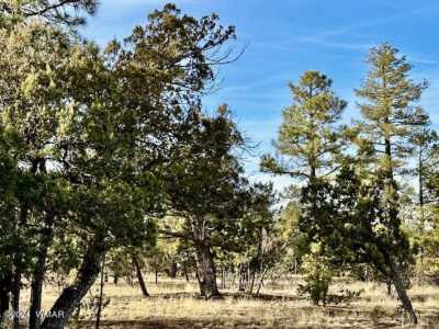 Residential Land For Sale in Overgaard, Arizona