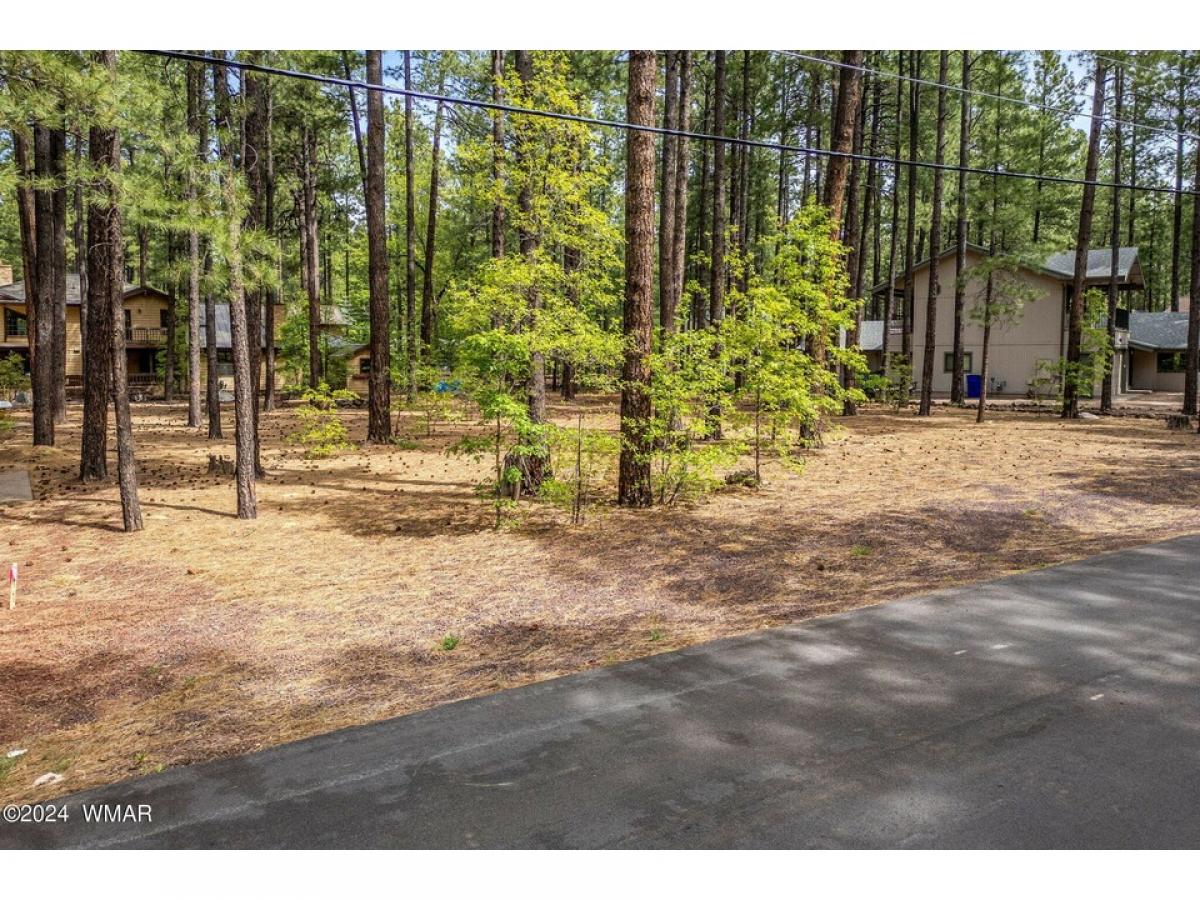 Picture of Residential Land For Sale in Pinetop, Arizona, United States