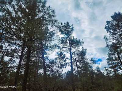 Residential Land For Sale in Lakeside, Arizona