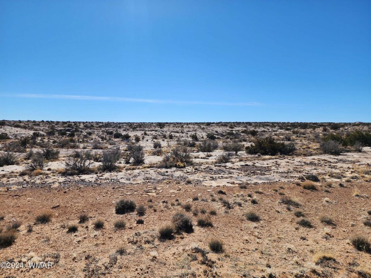 Picture of Residential Land For Sale in Winslow, Arizona, United States