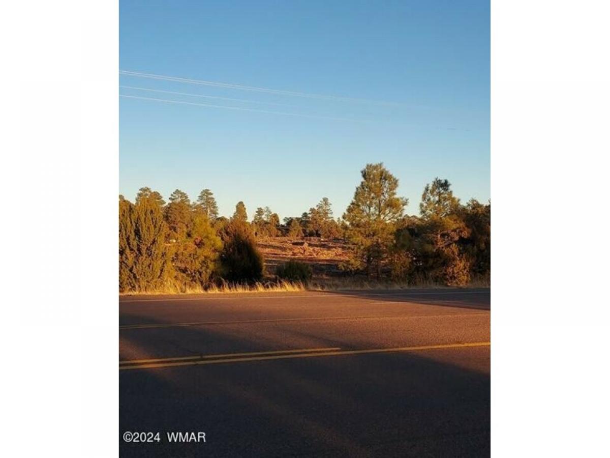 Picture of Residential Land For Sale in Overgaard, Arizona, United States