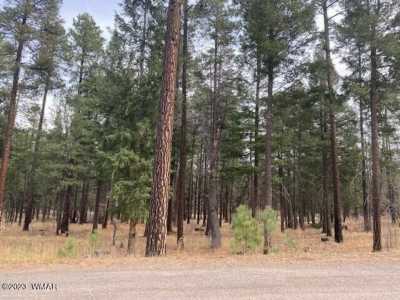 Residential Land For Sale in Alpine, Arizona