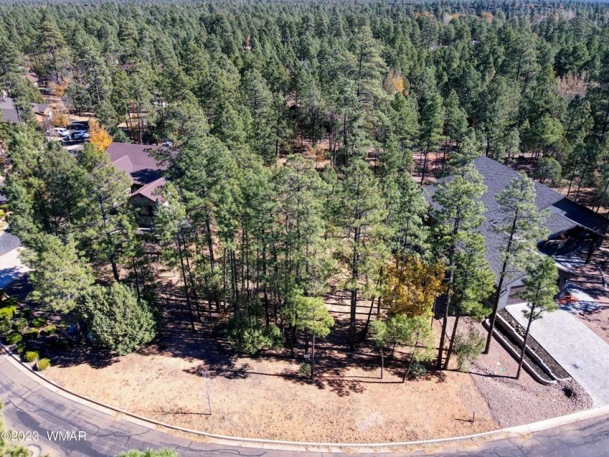 Picture of Residential Land For Sale in Lakeside, Arizona, United States