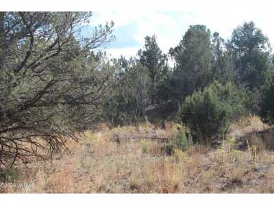 Residential Land For Sale in Vernon, Arizona