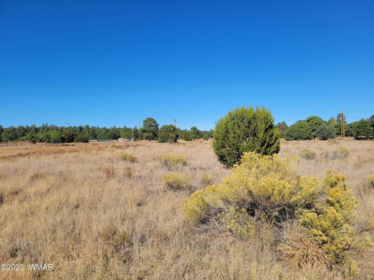 Picture of Residential Land For Sale in Overgaard, Arizona, United States