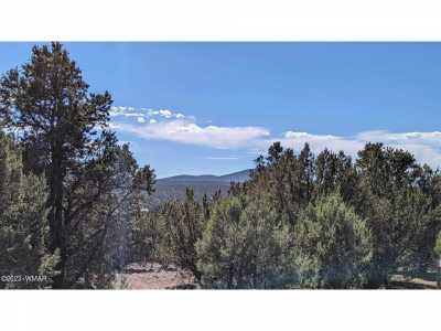 Residential Land For Sale in Vernon, Arizona