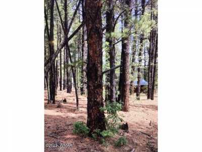 Residential Land For Sale in Alpine, Arizona