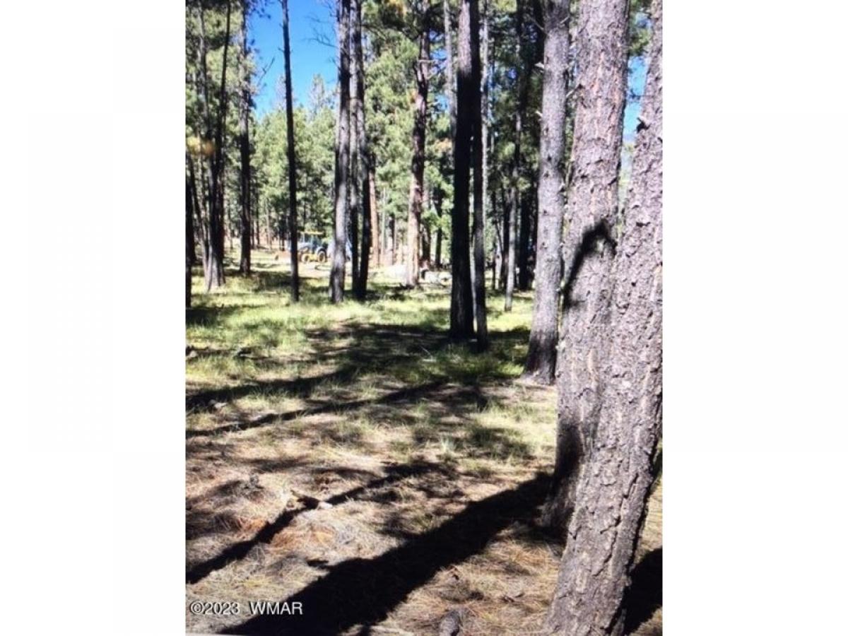 Picture of Residential Land For Sale in Alpine, Arizona, United States