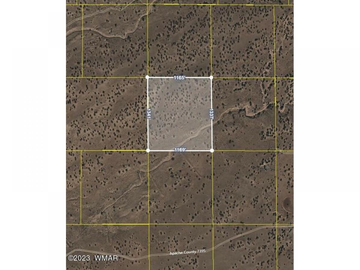 Picture of Residential Land For Sale in Sanders, Arizona, United States