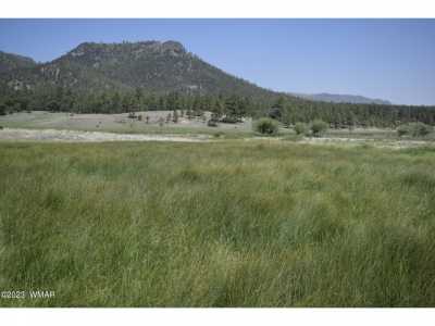 Residential Land For Sale in Nutrioso, Arizona