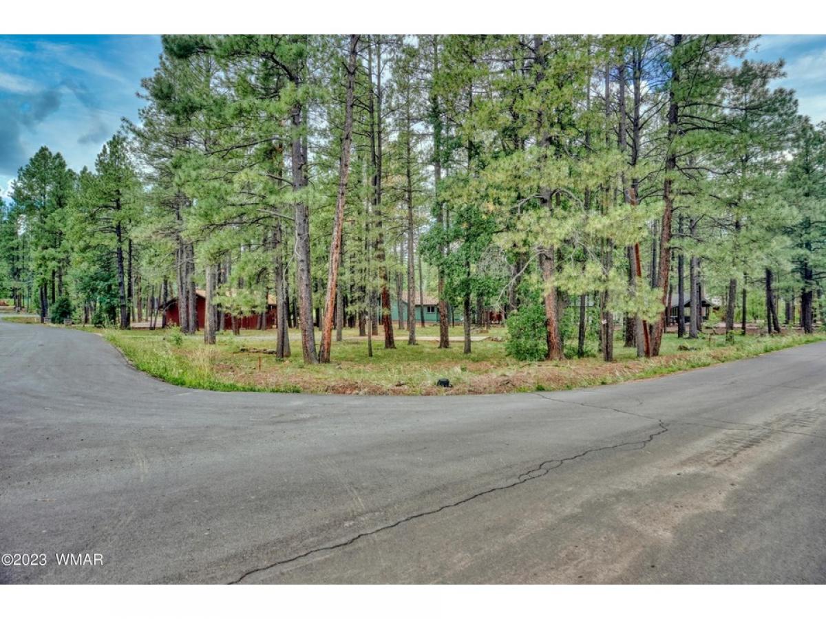 Picture of Residential Land For Sale in Pinetop, Arizona, United States