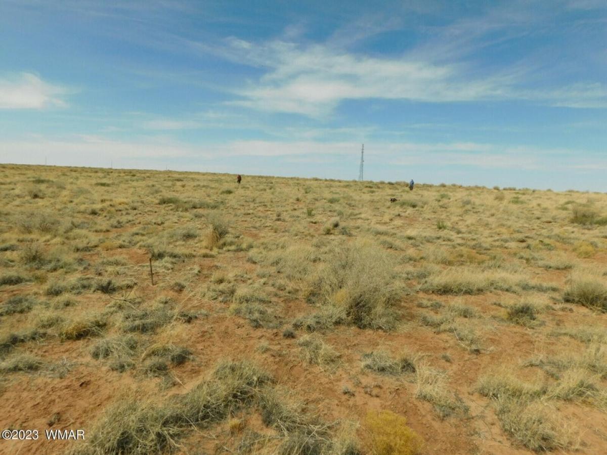 Picture of Residential Land For Sale in Holbrook, Arizona, United States