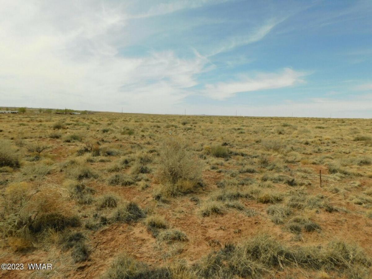 Picture of Residential Land For Sale in Holbrook, Arizona, United States