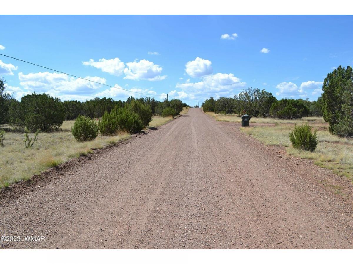 Picture of Residential Land For Sale in White Mountain Lake, Arizona, United States