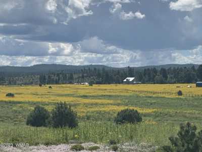 Residential Land For Sale in Pinedale, Arizona