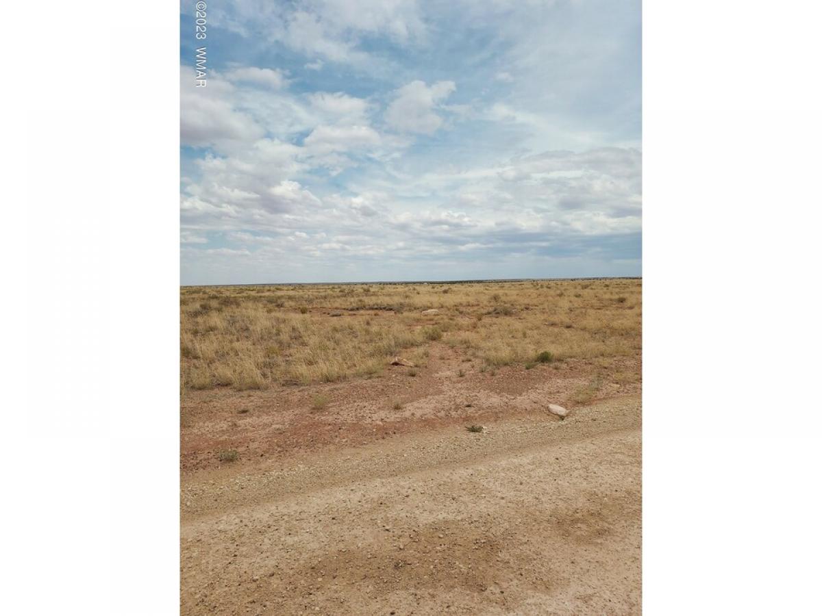 Picture of Residential Land For Sale in Winslow, Arizona, United States