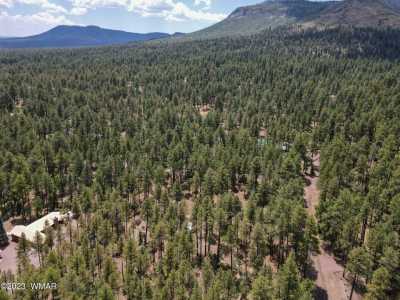 Residential Land For Sale in Alpine, Arizona