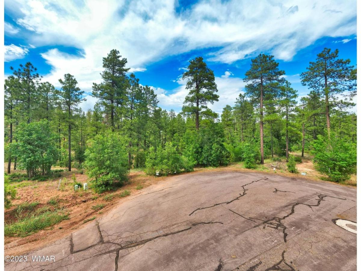 Picture of Residential Land For Sale in Lakeside, Arizona, United States