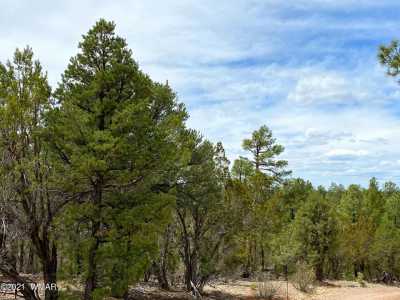 Residential Land For Sale in Overgaard, Arizona