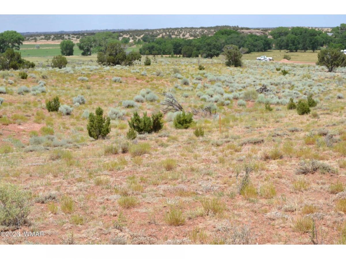 Picture of Residential Land For Sale in Shumway, Arizona, United States