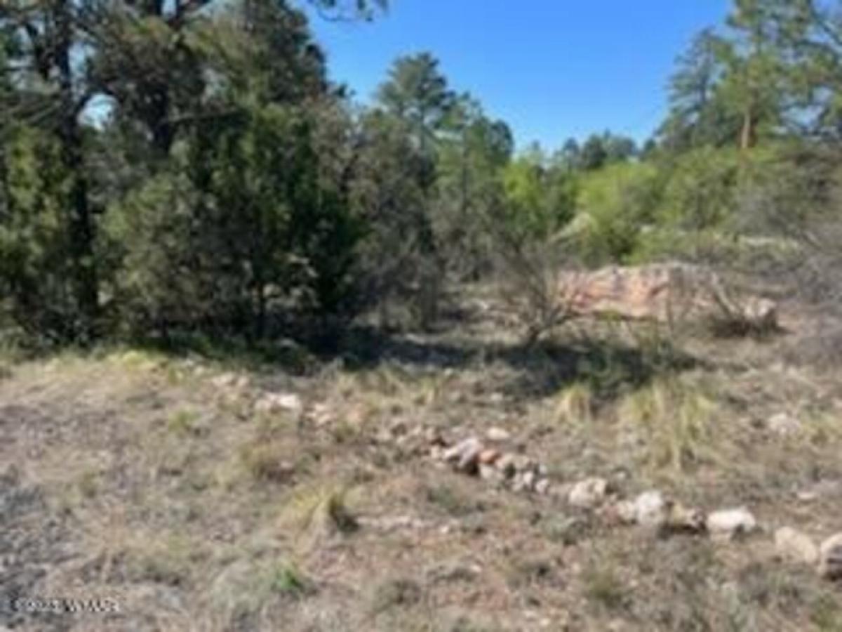 Picture of Residential Land For Sale in Overgaard, Arizona, United States