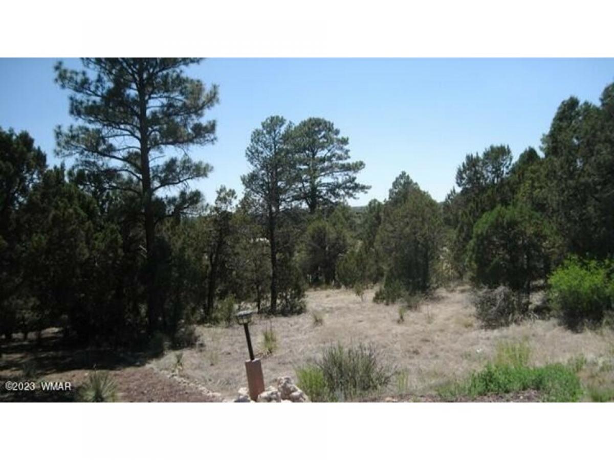 Picture of Residential Land For Sale in Overgaard, Arizona, United States