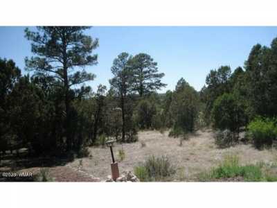 Residential Land For Sale in Overgaard, Arizona