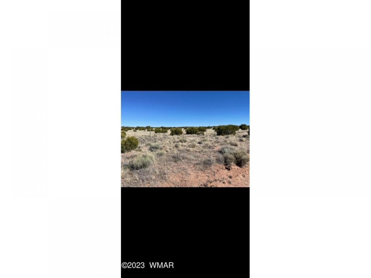 Picture of Residential Land For Sale in Saint Johns, Arizona, United States