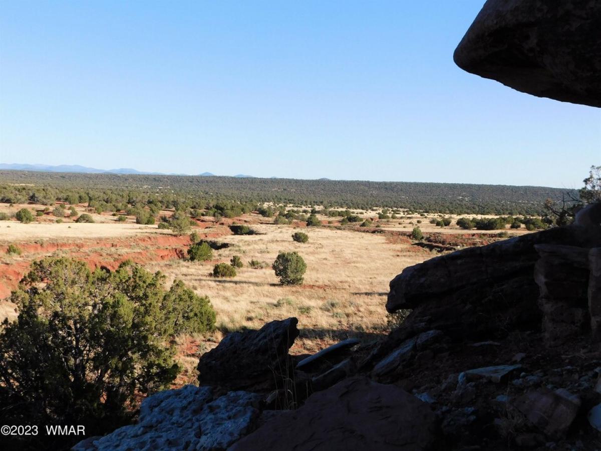 Picture of Residential Land For Sale in White Mountain Lake, Arizona, United States