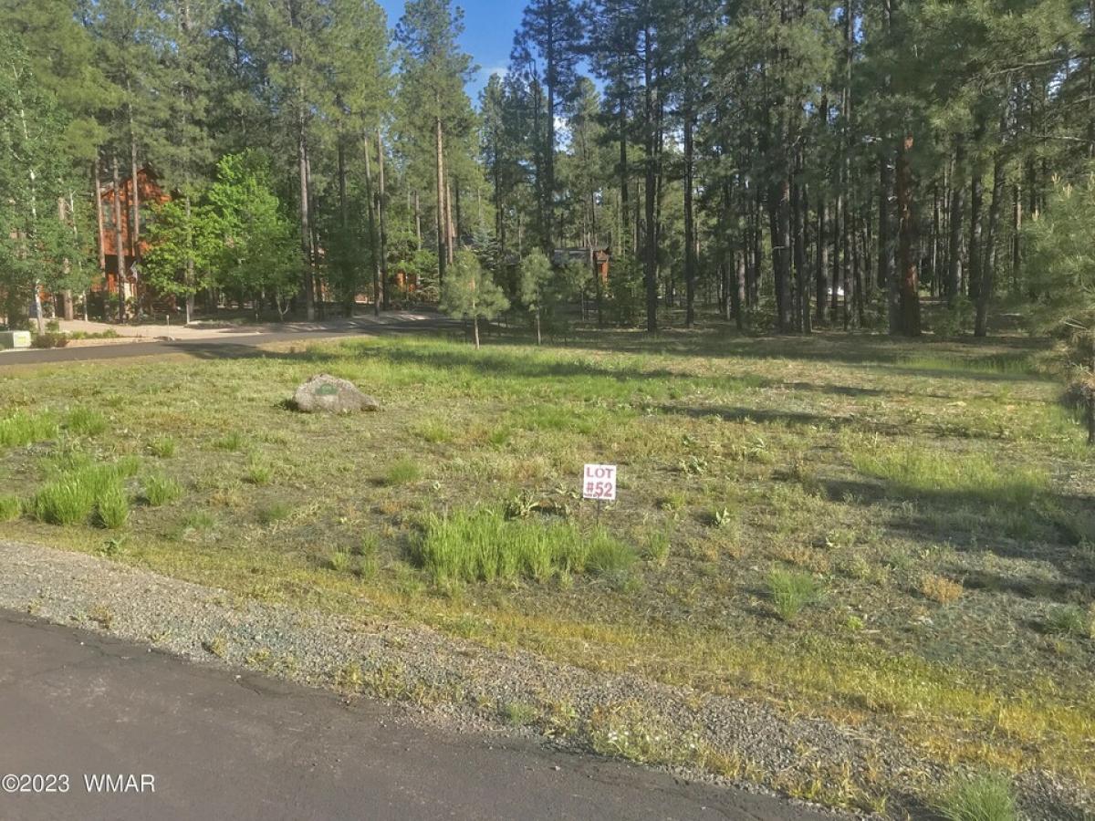 Picture of Residential Land For Sale in Pinetop, Arizona, United States